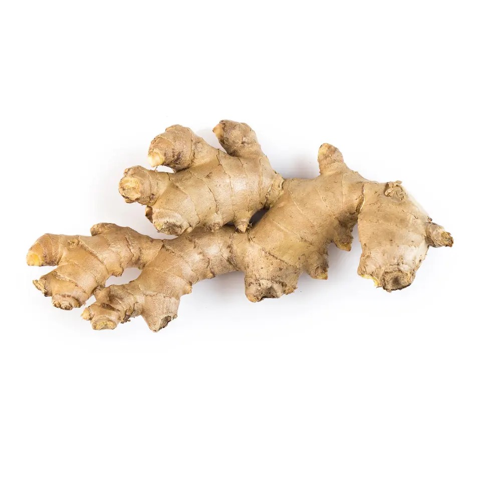 Fresh Vegetables Fresh Garlic Thailand Frozen Ginger Export FCL Good Quality Dried Bulk Ginger Jar Wholesale Export High Quality